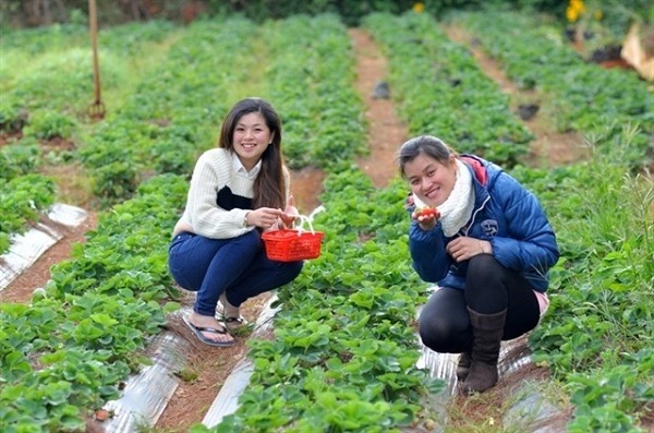 chia-se-kinh-nghiem-lam-them-khi-du-hoc-uc-hinh-2