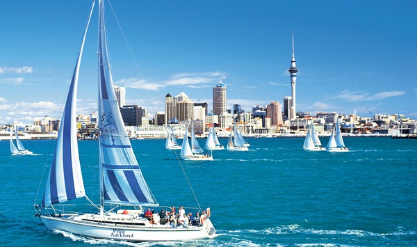 top-4-nhung-dieu-ban-nen-lam-khi-du-hoc-new-zealand-hinh-1