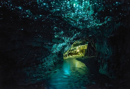 waitomo-glowworm-caves-north-i-9756-3912
