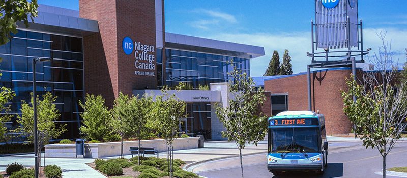 Chương trình tiếng anh hè- Niagara college