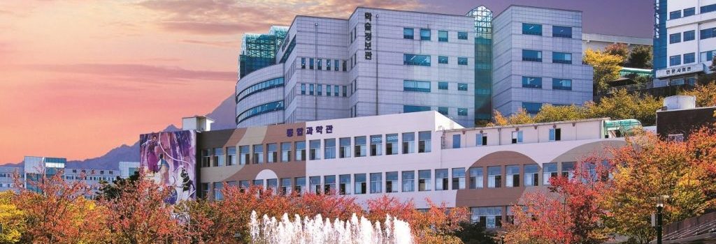 đại học deagu hanny